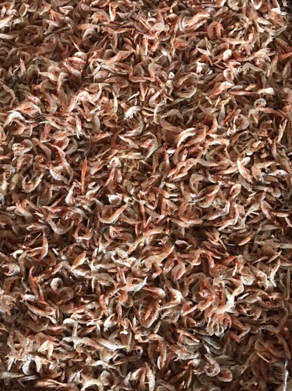 Prawn(Kardi / Ambad / Sukat) - Image 3
